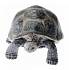 Фигурка - Гигантская черепаха, размер 9 х 5 х 4 см.  - миниатюра №2
